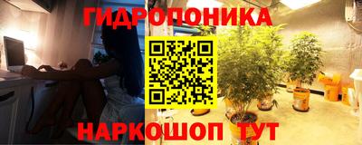 дживик Анапа