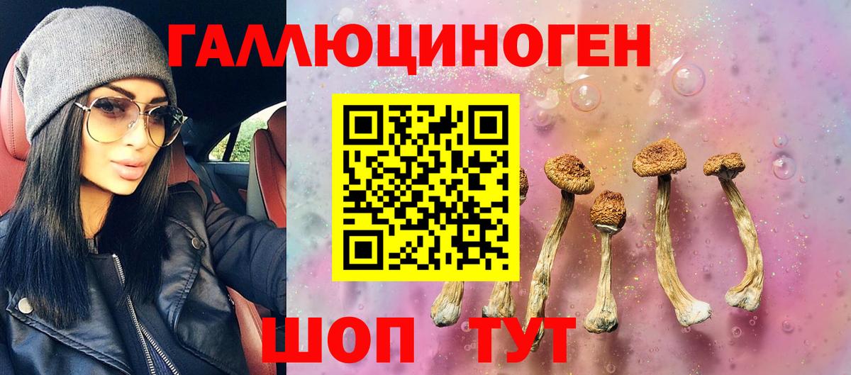 Галлюциногенные грибы мухоморы  Вход с VPN  Пермь  Псилоцибиновые грибы мицелий 